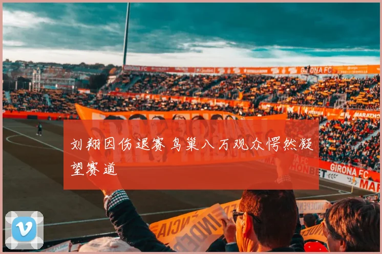 刘翔因伤退赛鸟巢八万观众愕然凝望赛道