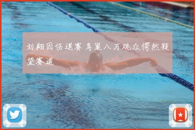刘翔因伤退赛鸟巢八万观众愕然凝望赛道