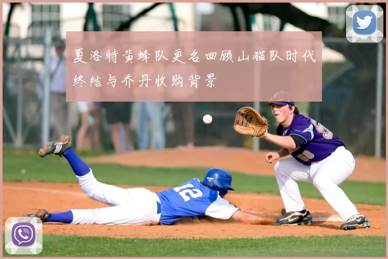 夏洛特黄蜂队更名回顾山猫队时代终结与乔丹收购背景