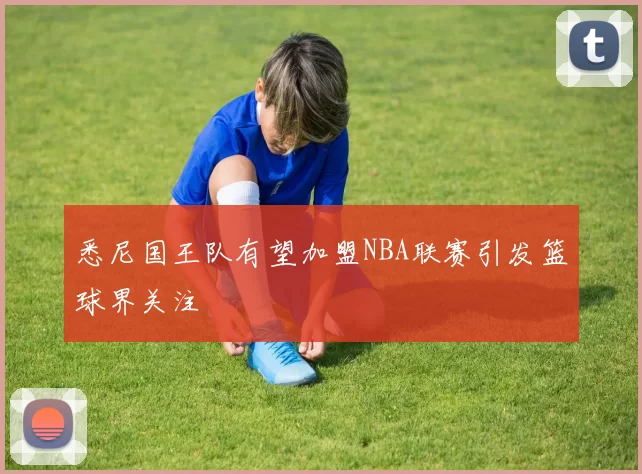 悉尼国王队有望加盟NBA联赛引发篮球界关注