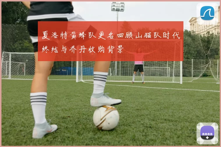 夏洛特黄蜂队更名回顾山猫队时代终结与乔丹收购背景