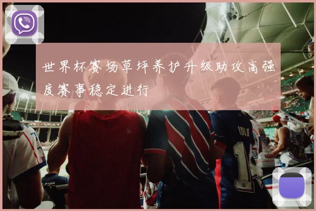 世界杯赛场草坪养护升级助攻高强度赛事稳定进行