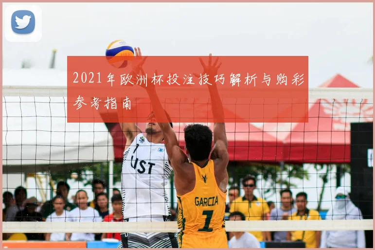 2021年欧洲杯投注技巧解析与购彩参考指南
