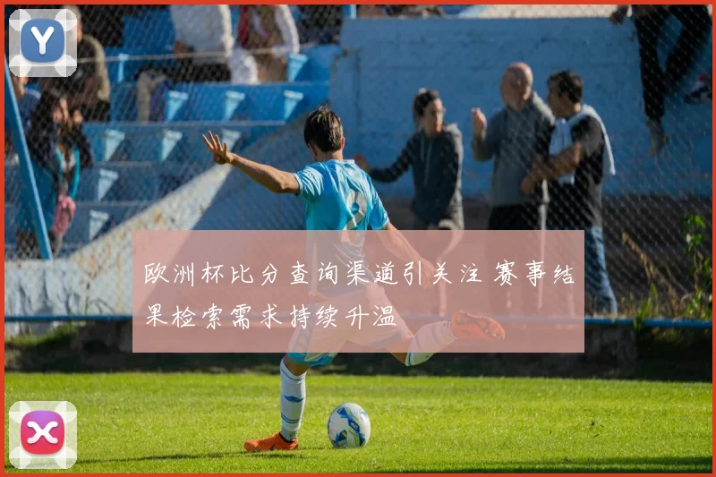 欧洲杯比分查询渠道引关注 赛事结果检索需求持续升温