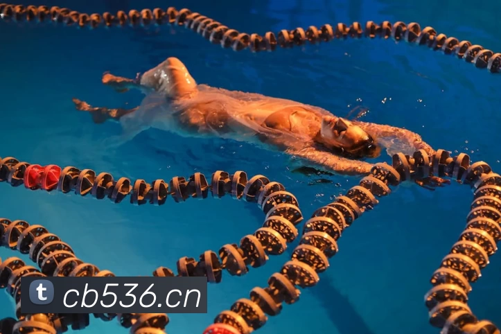 奇异果体育官方入口全站App 奇异果体育官方入口全站App